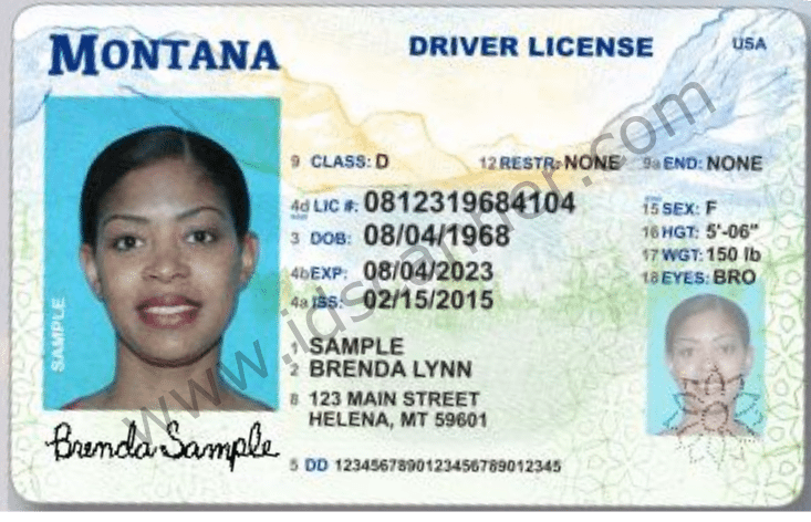 hole punch in drivers license